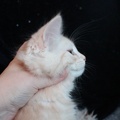 240102 10v Loomis 5